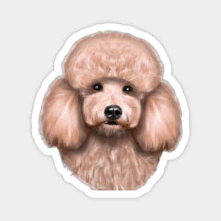 Cute Poodle Drawing Magnet