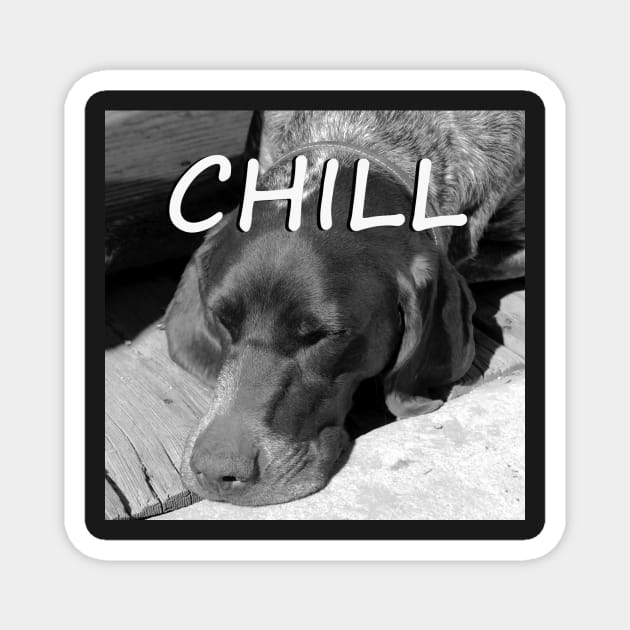 Chill Magnet by dltphoto