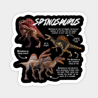 Spinosaurus Fun Facts Magnet