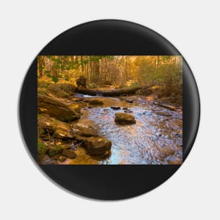 Mountain Stream Pin