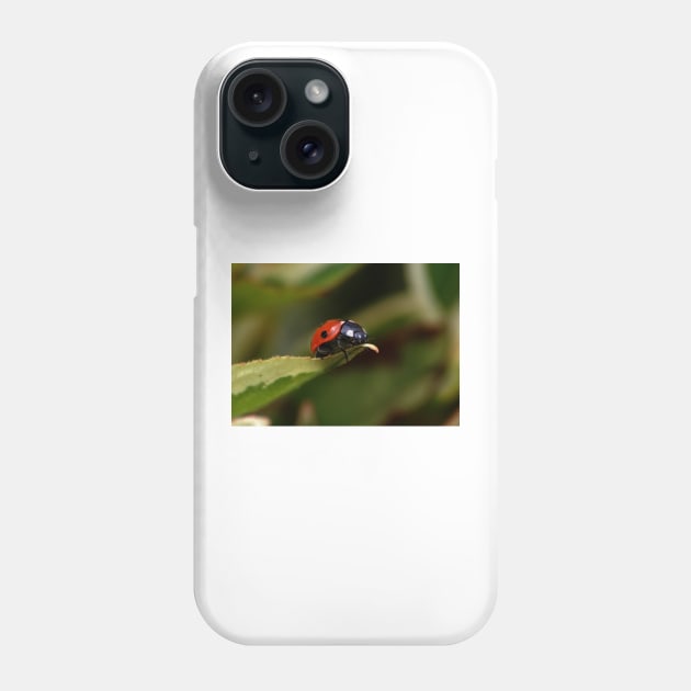 On the edge Phone Case by declancarr