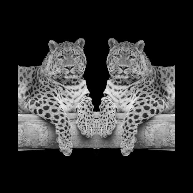 Two Leopards by mmuzanic