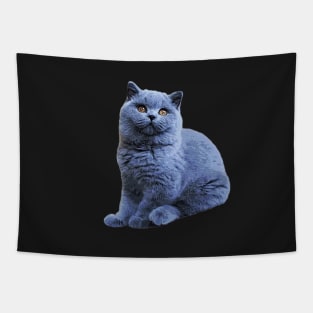 British Shorthair Cat Cute Blue Kitten Art Tapestry