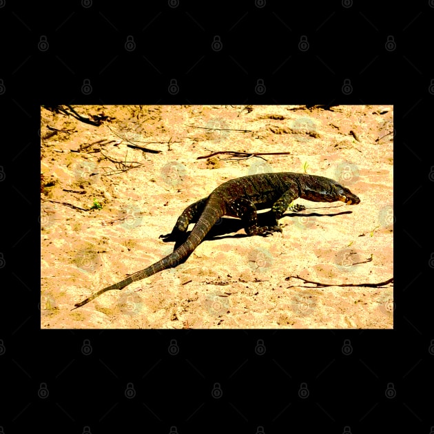 The Goanna Walk! by Mickangelhere1