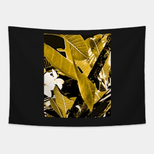 Golonch Tapestry