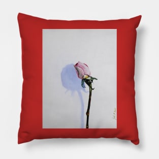 The Rosebud - Sweet Pink Rose - Still Life Pillow