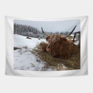 Scottish Highland Cattle Cow and Calf 1702 Tapestry