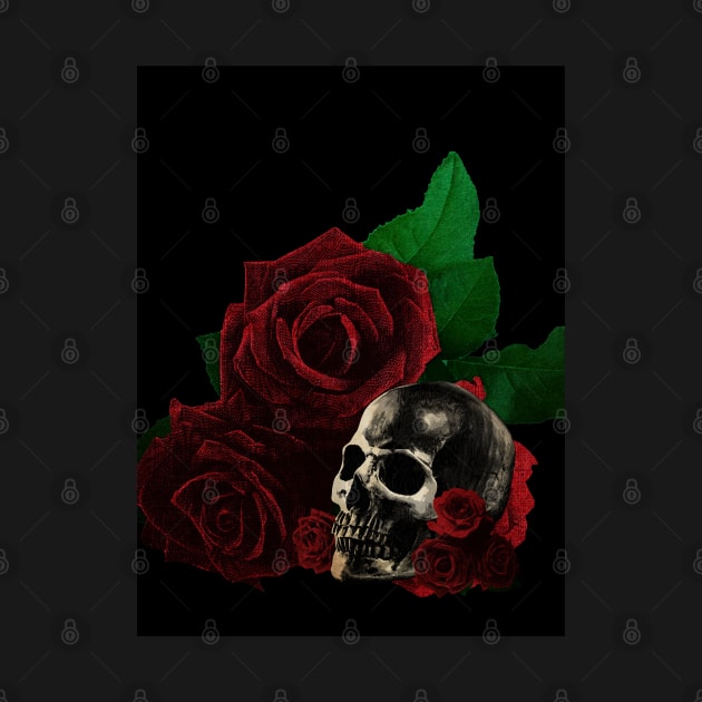 Human anatomy and roses: skull by kourai