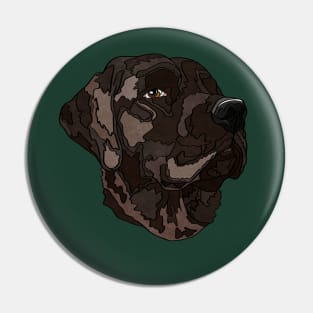 Chocolate Labrador Retriever Pin