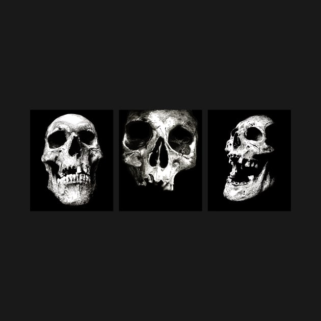 3 Skulls by Area 52