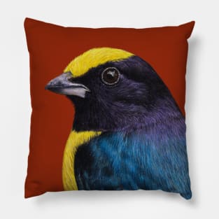 Orange-bellied euphonia Pillow