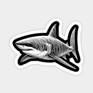 Great White Shark Sketch Magnet