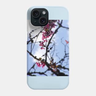 red Malus Radiant crab apple blossoms #8 Phone Case
