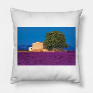 Provence Lavender Field In The Valensole Plateau Pillow