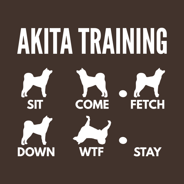 Akita Inu Training Akita Dog Tricks by DoggyStyles