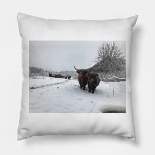 Scottish Highland Cattle Cow and Calf 1600 Pillow