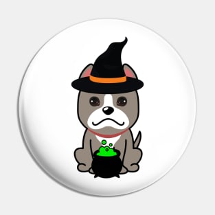 Cute grey dog is a witch Pin