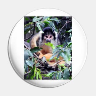 Squirrel Monkey Pin