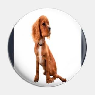 Dog with long ears Pin