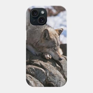 Timber Wolf Phone Case