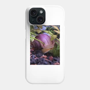 Mystery snail Phone Case