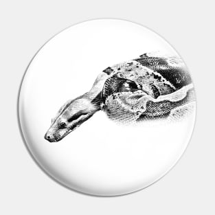 Boa constrictor Pin