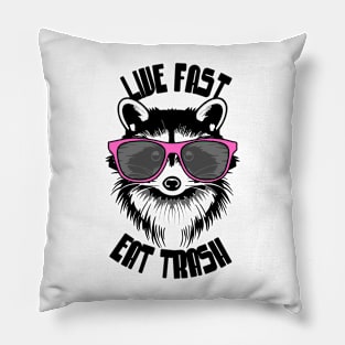 Live Fast Eat Trash | Cute Racoon Pillow