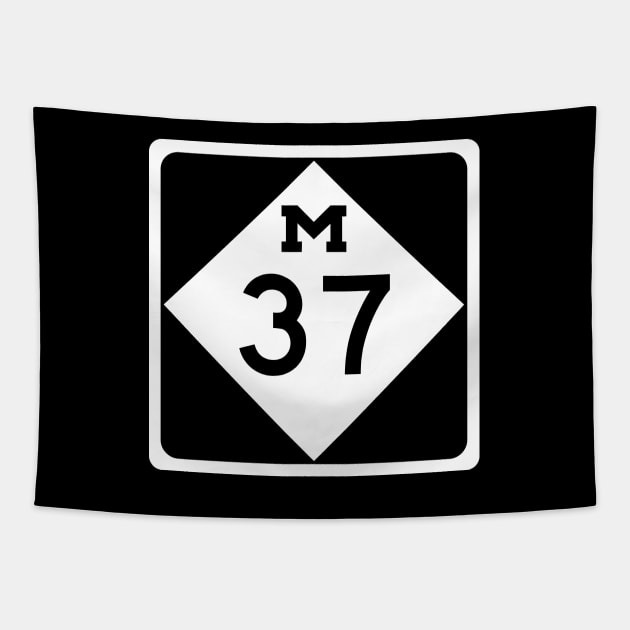 M-37 Traverse City Michigan Old Mission Peninsula Highway Tapestry by Angel Pronger Design Chaser Studio