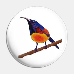 Green-tailed sunbird Pin