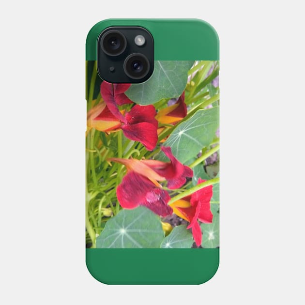 Red Nasturtium Phone Case by Hajarsdeco