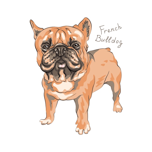 French Bulldog by kavalenkava