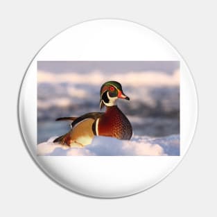 Wood duck Pin