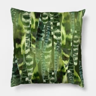 Sansevieria Pillow