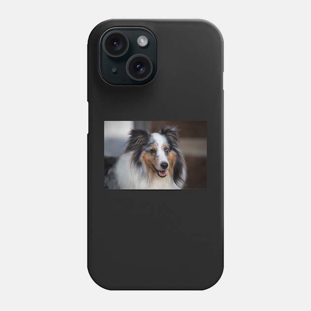 Sheltie Phone Case by SMiddlebrook