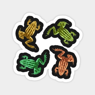 Colourful Vintage Frogs - 4 Pack Magnet