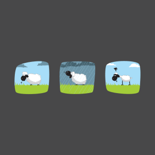 Do sheep shrink when it rains? T-Shirt