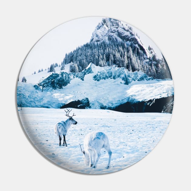 Winter dreamland Pin by Ali del sogno