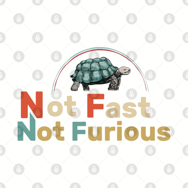 not fast not furious funny desing by boufart