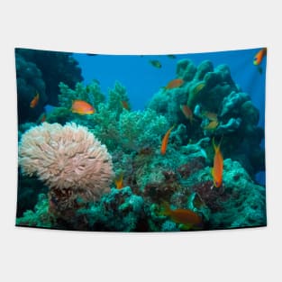 Coral reef Tapestry