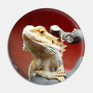 Bearded Dragon Pin