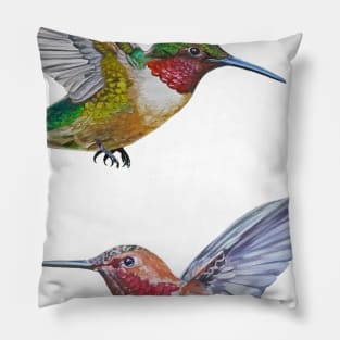 Hummingbirds set (Rufous & Ruby Throated) Pillow