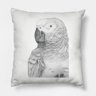 Grey parrot congo african bird watercolor portrait painting timneh Pillow