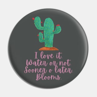 Cacti are wonderful Pin