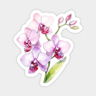 Cute Orchid Art Magnet