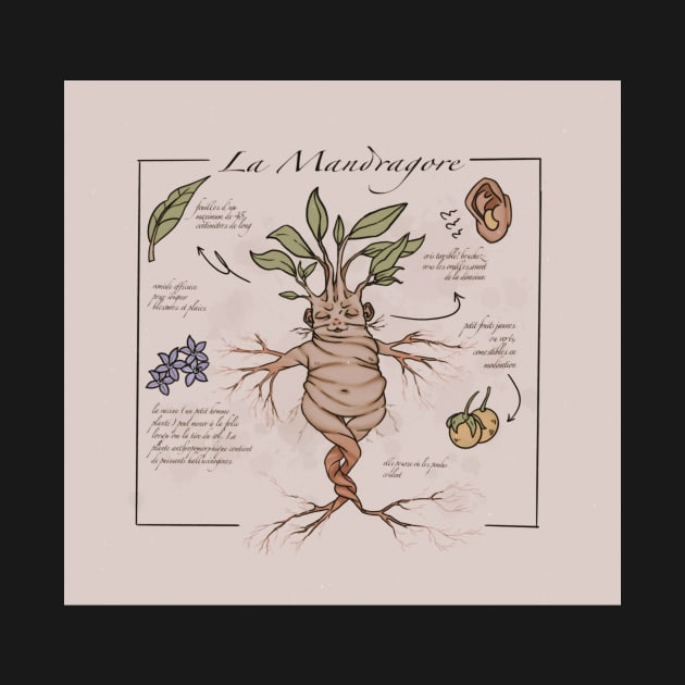 The mandrake by vertarsenic