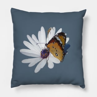 Butterfly And Spider On African Daisy Pillow