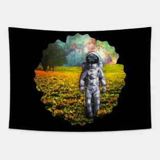 space chimp Tapestry