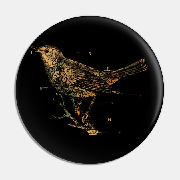 Migration Pin by Tobe_Fonseca