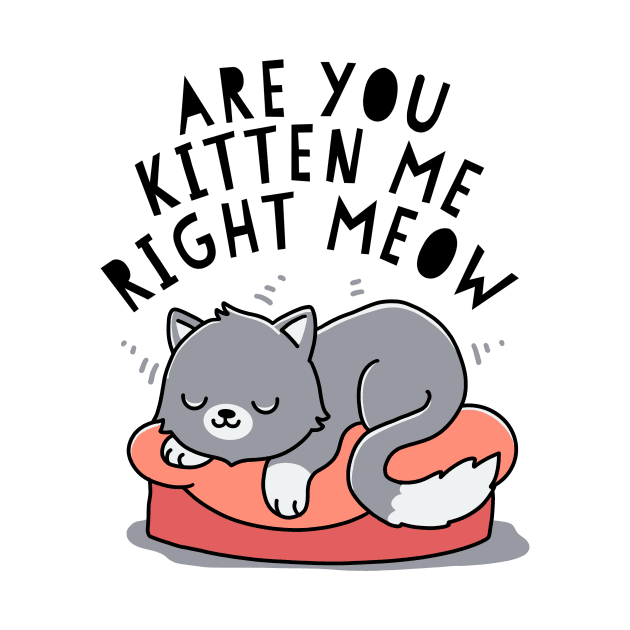 Are you kitten me right meow by guyfawkes.art