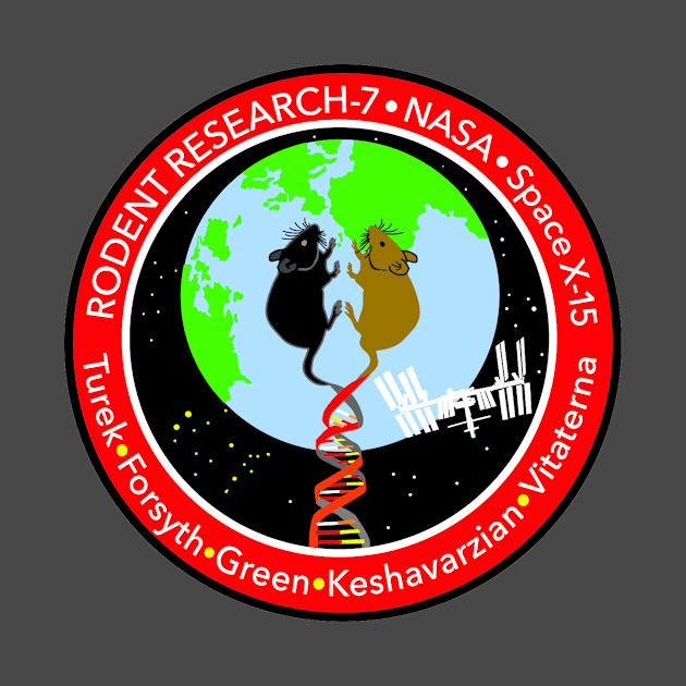 Rodent Research-7 Mission Logo by Spacestuffplus